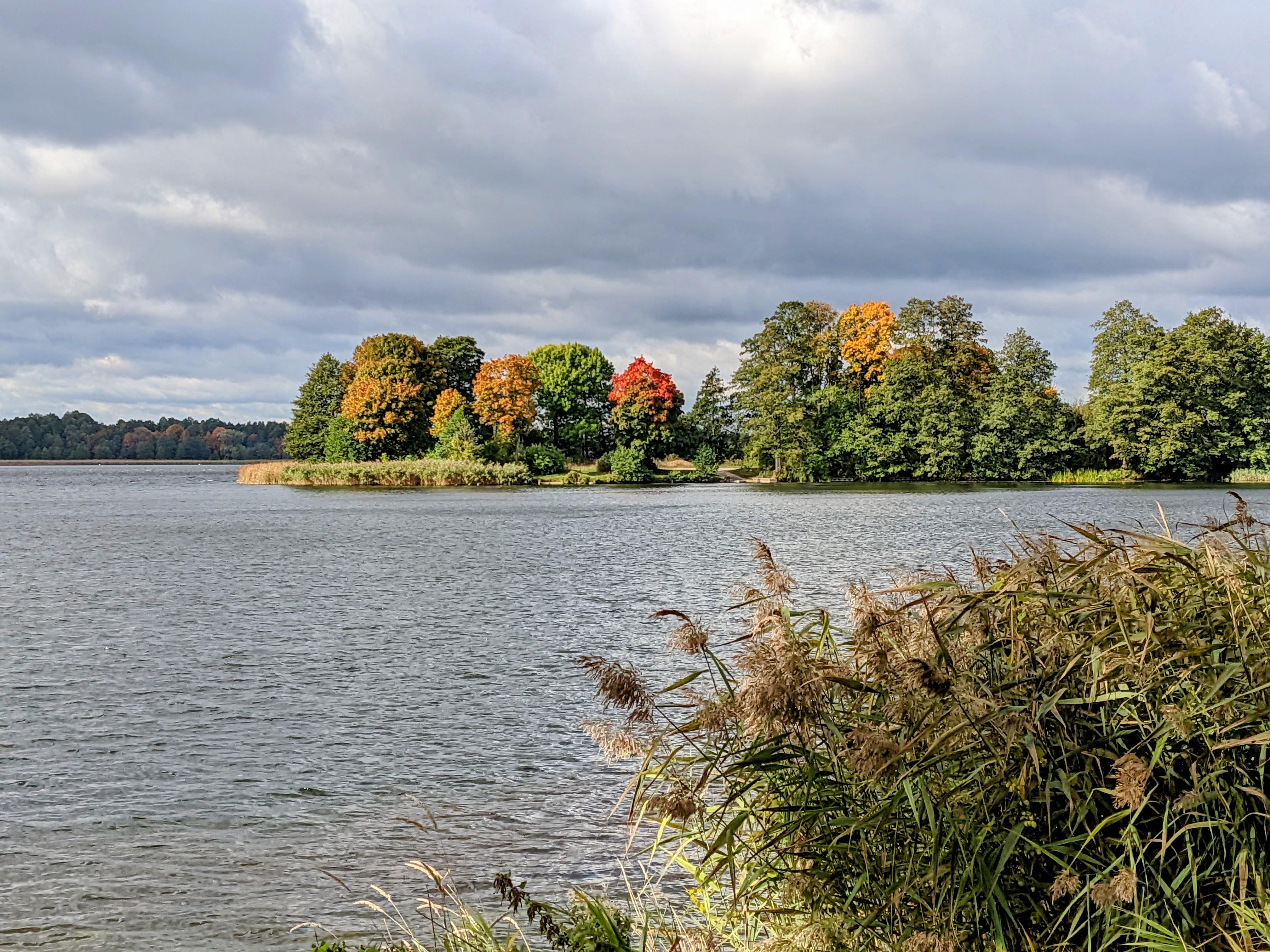 Lake view with tree turning red