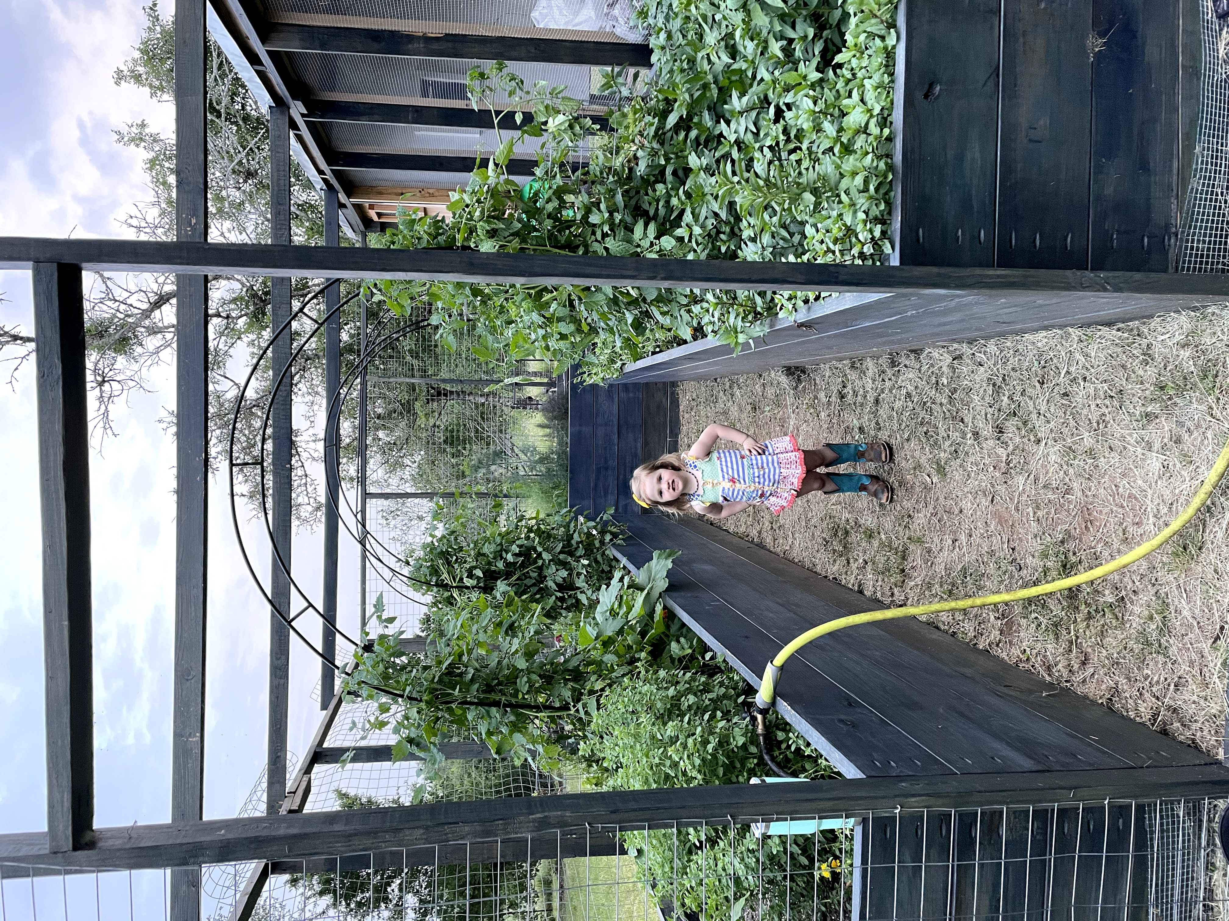in the garden